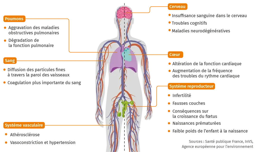 Maladies liés à la pollution atmosphèrique